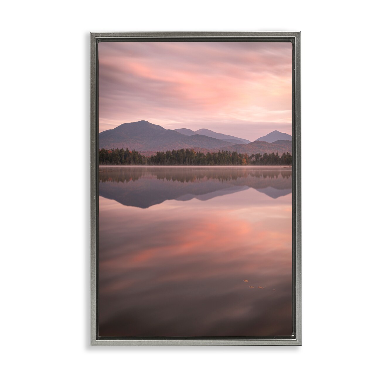 Stupell Industries Dawn Reflection In Glory Floating Frame, design by James Rodewald